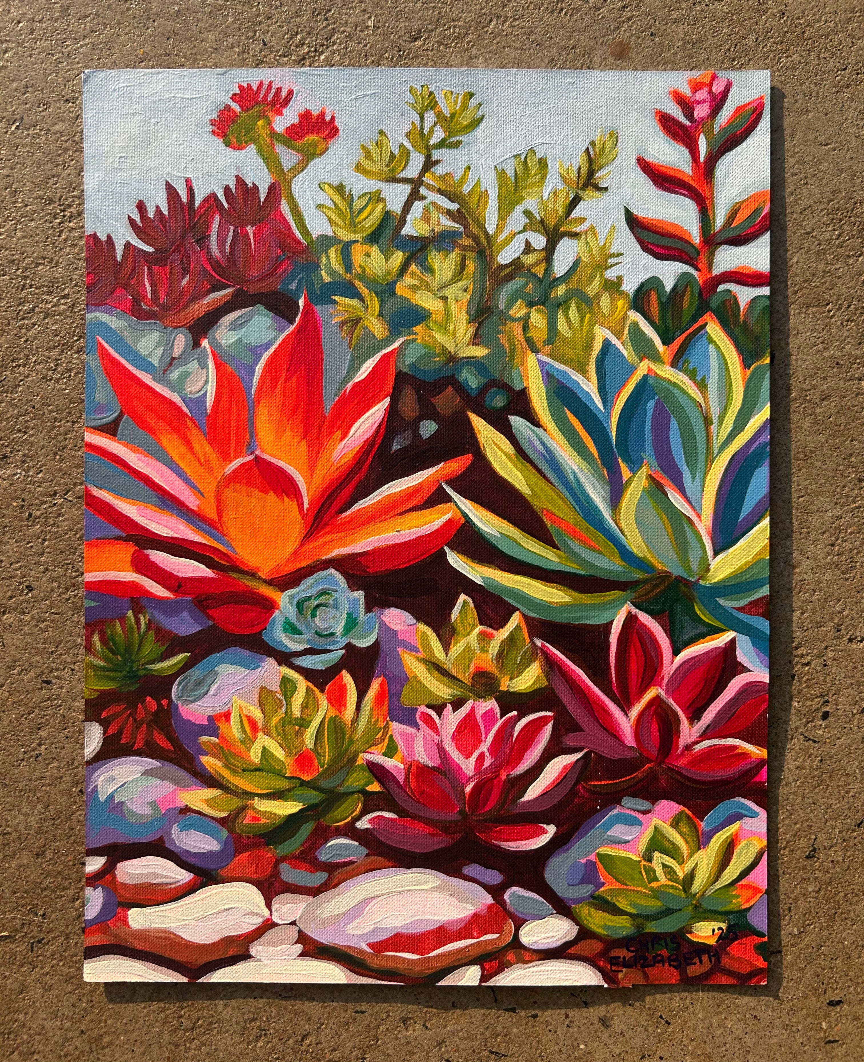 Vibey Succulents