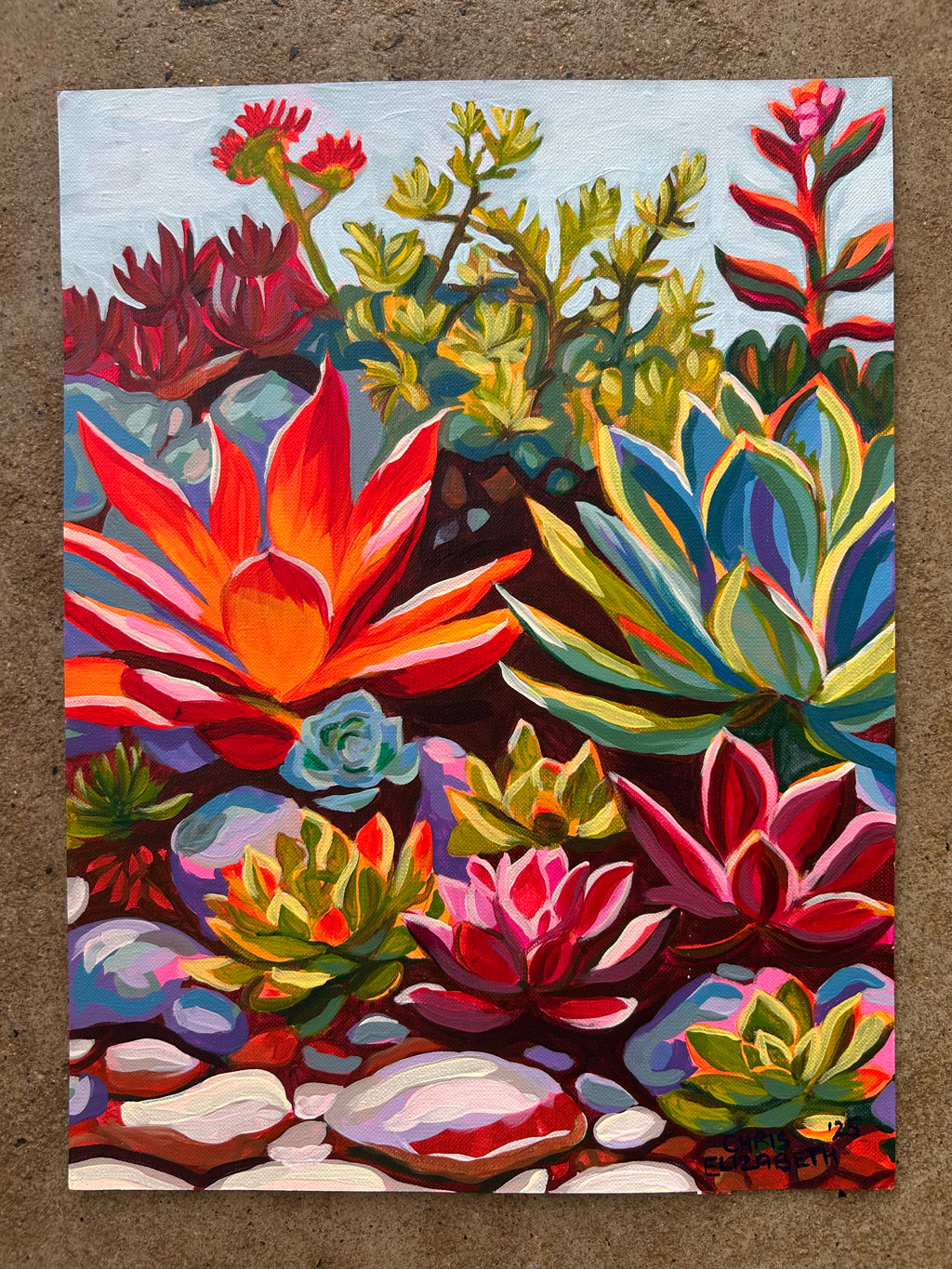Vibey Succulents