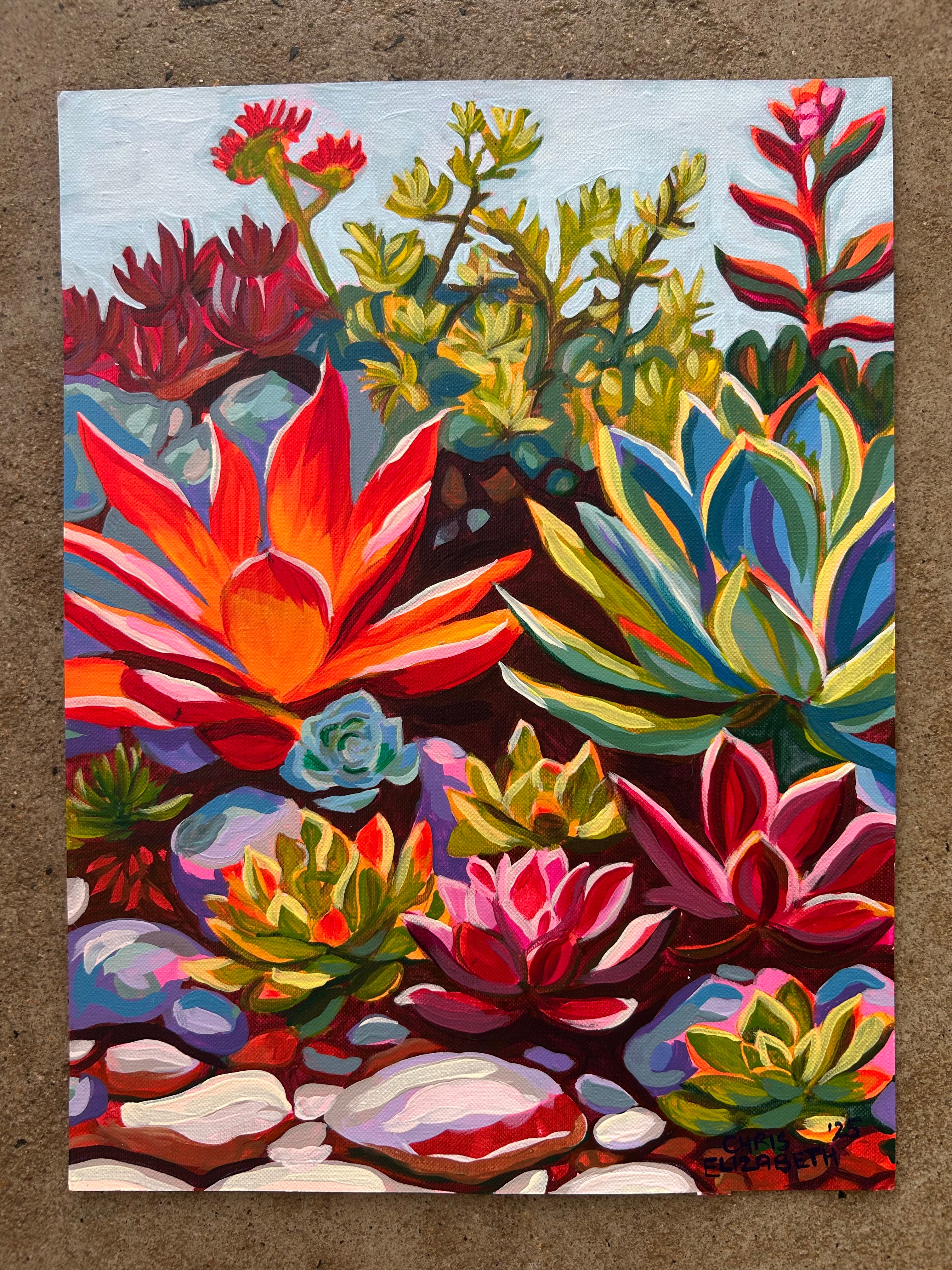 Vibey Succulents