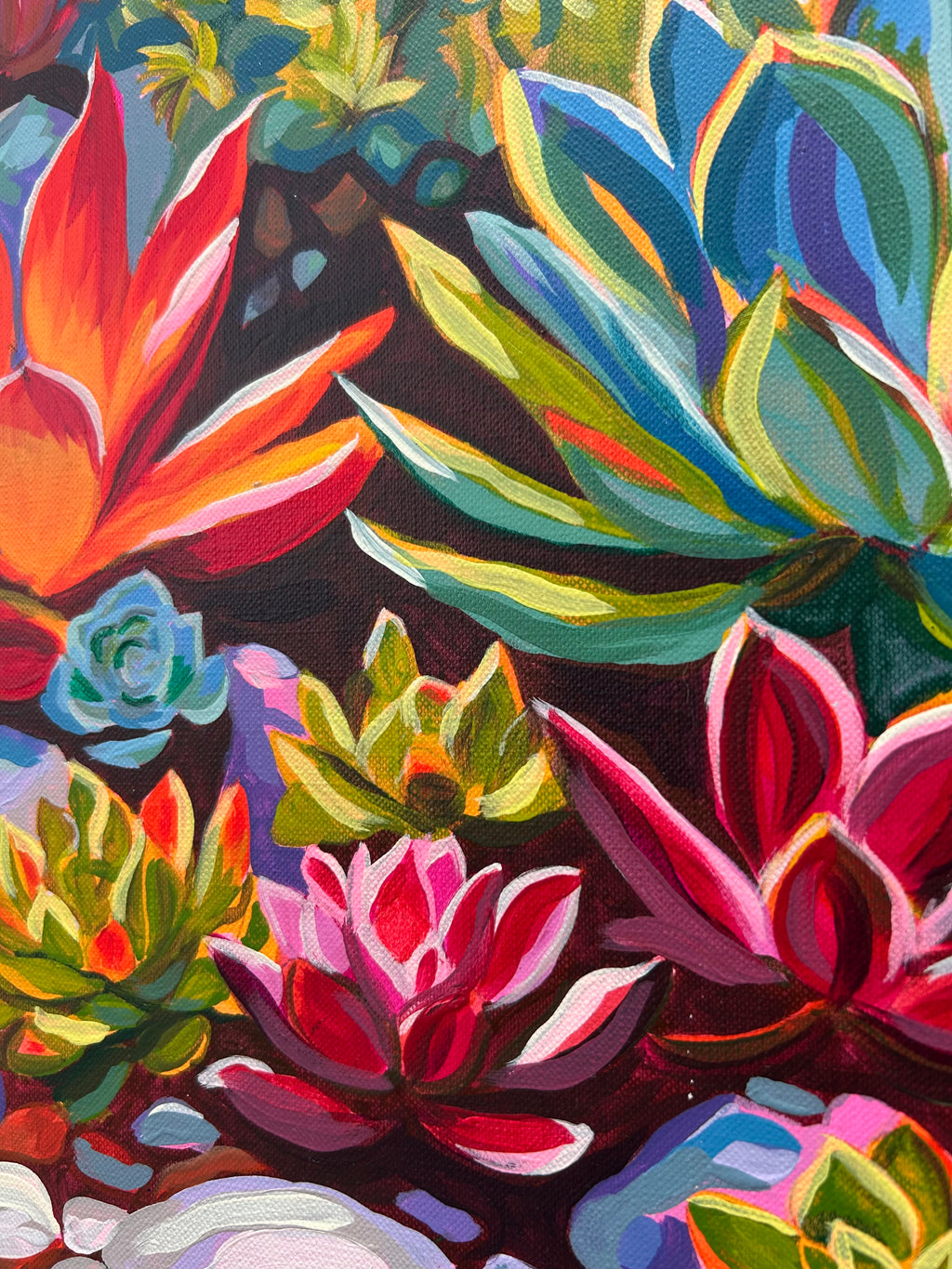 Vibey Succulents