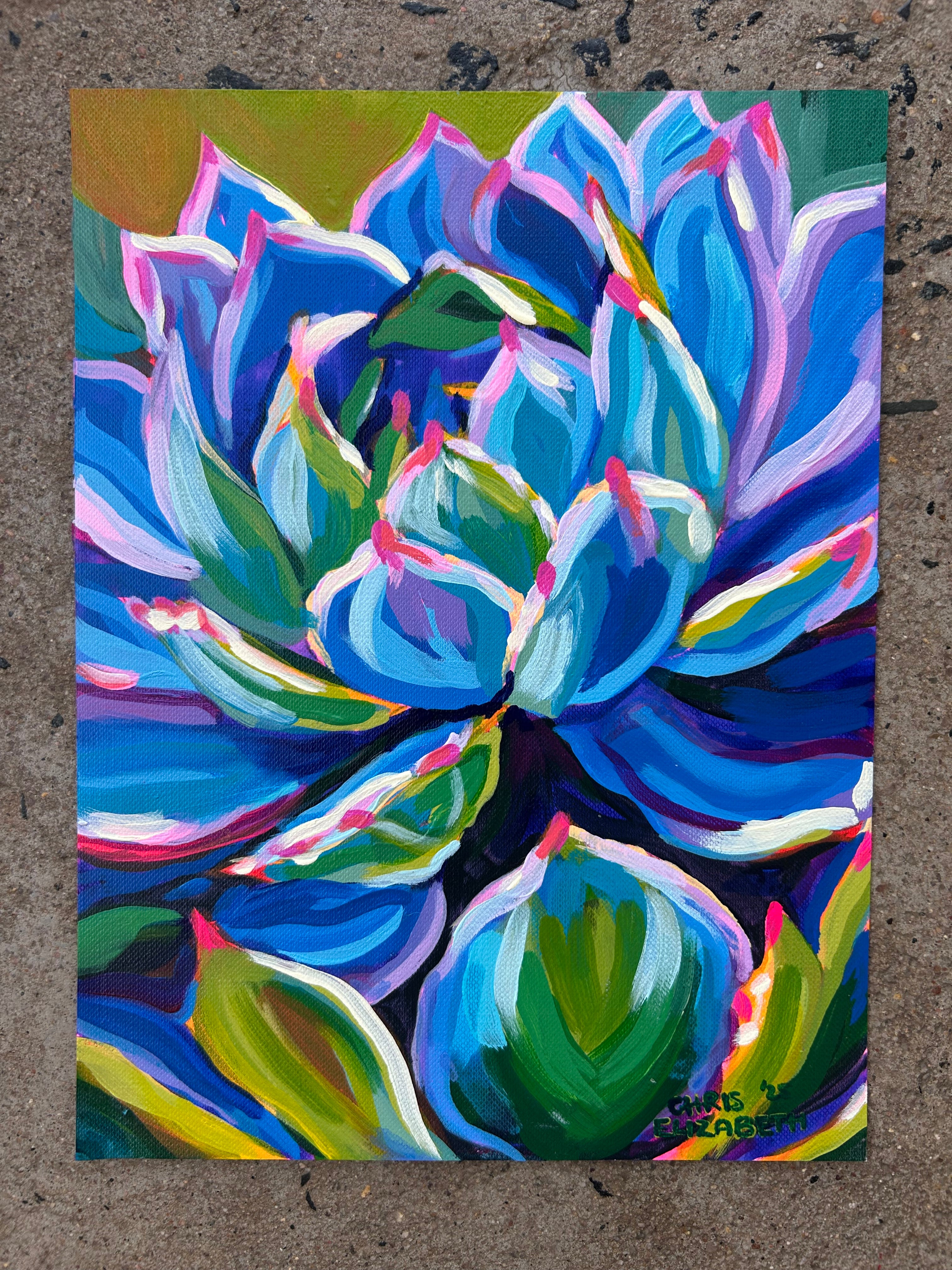 Rock Roses in Blue (pair of 2)