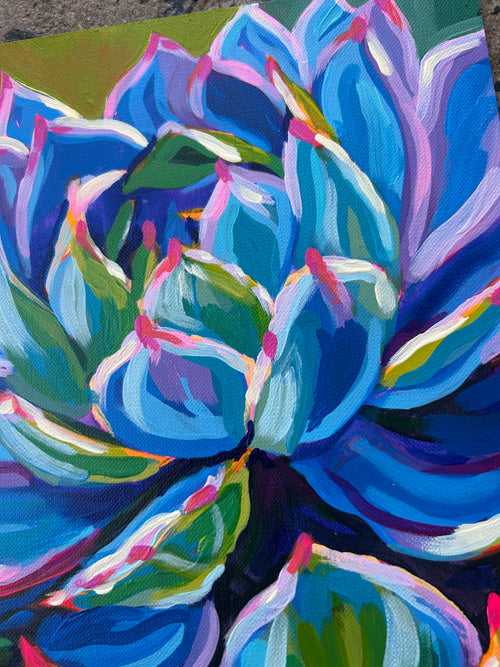 Rock Roses in Blue (pair of 2)