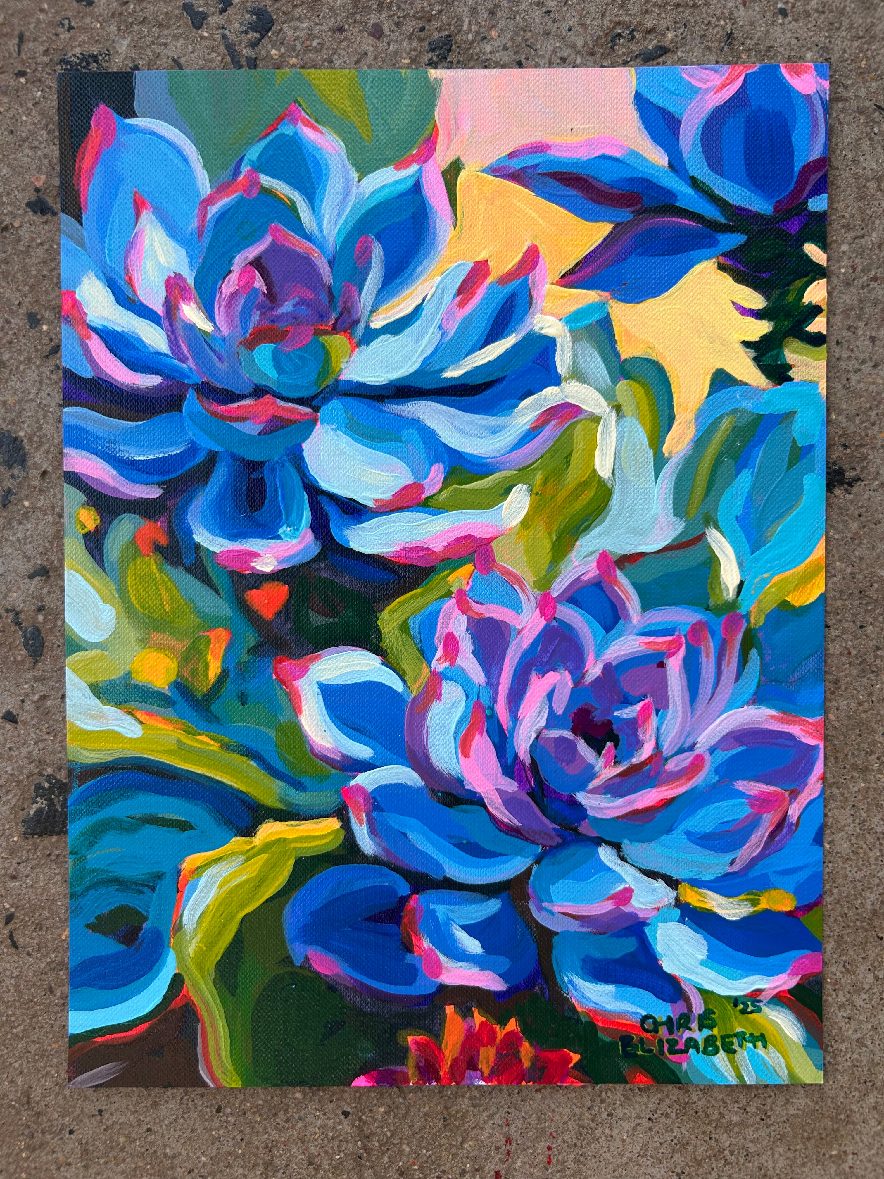 Rock Roses in Blue (pair of 2)